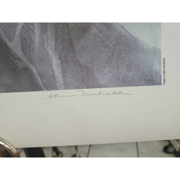Vintage 1989 Patricia Machiorlete Floral Print 224/460 - Picture 2 of 4